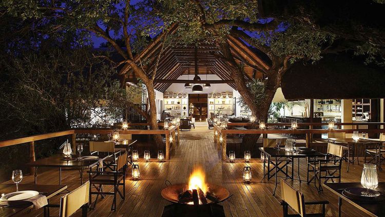 Londolozi - Tree Camp