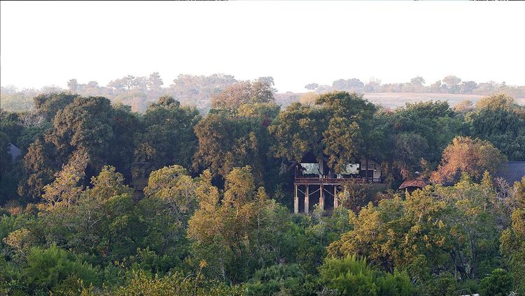 Londolozi - Varty Camp