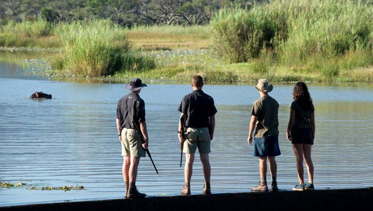 Marataba Lodge - Bushwalk