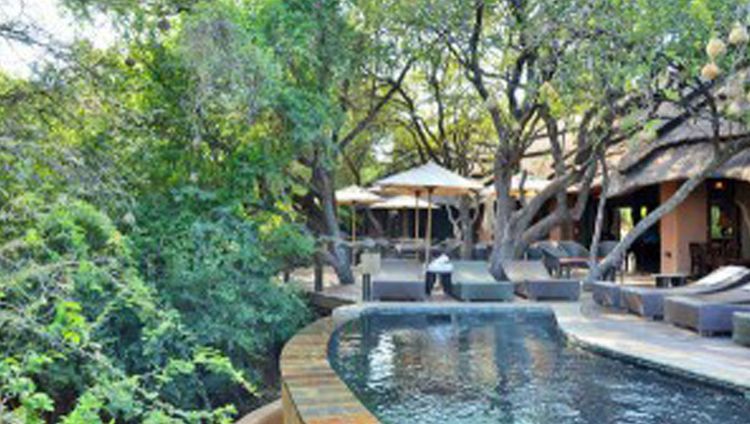 Motswiri Privat Safari Lodge, Madikwe