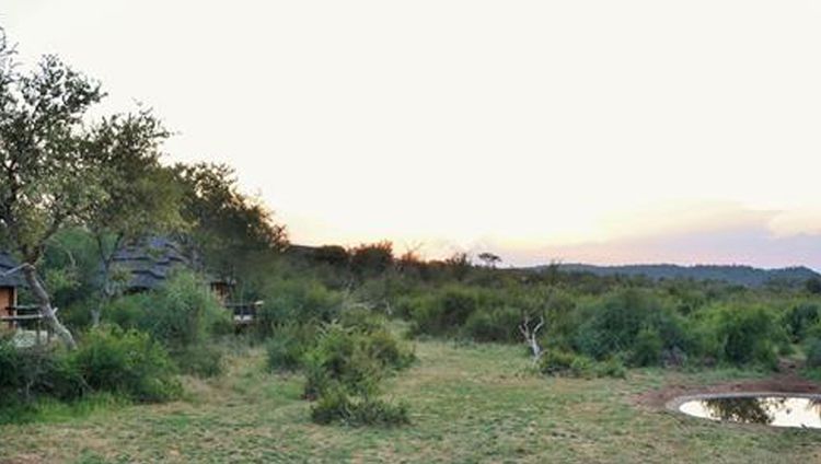 Motswiri Privat Safari Lodge - Wasserloch