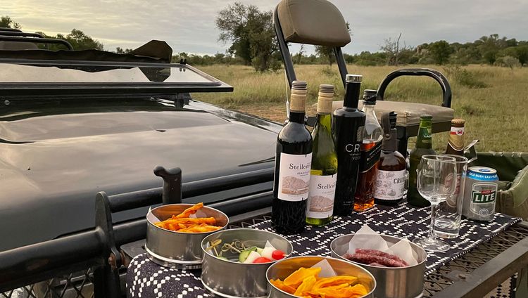 Sabi Sabi Earth Lodge - Sundowner