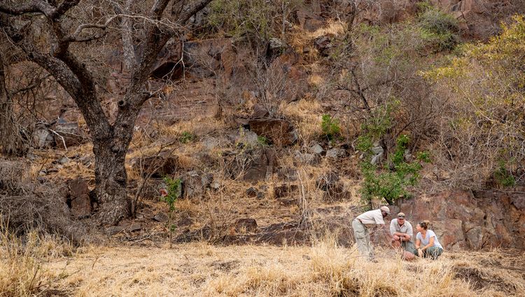 Singita Boulders Lodge - Bushwalk