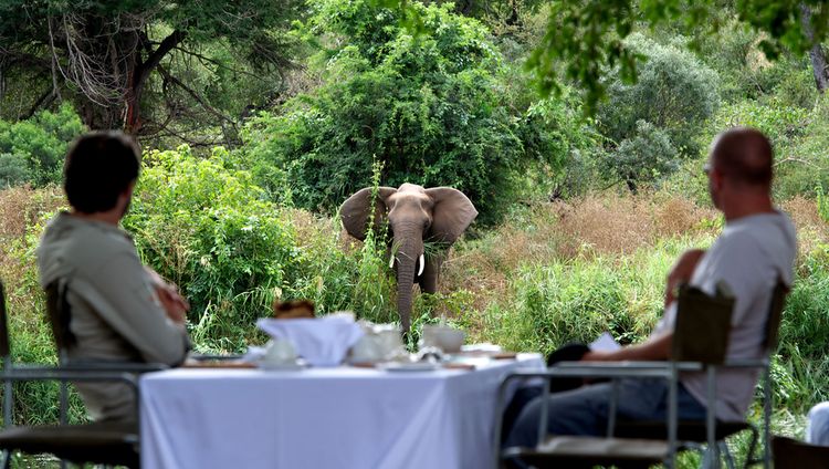 Singita Sweni Lodge - Besuch beim Essen