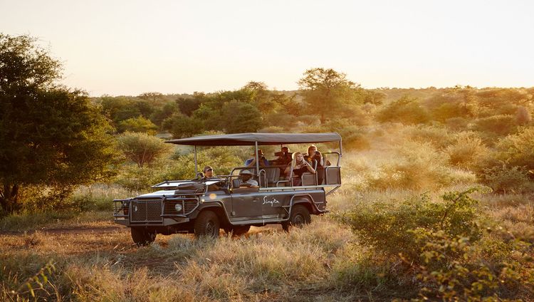 Singita Sweni Lodge - Pirschfahrt