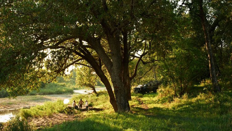 Singita Ebony Lodge - Rast auf der Pirschfahr