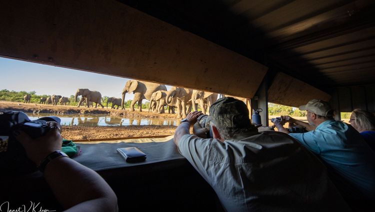 Mashatu Euphorbia Villas - Im Foto Hide