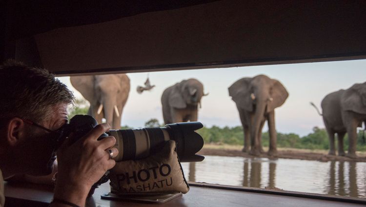 Mashatu Lodge - Im Fotohide