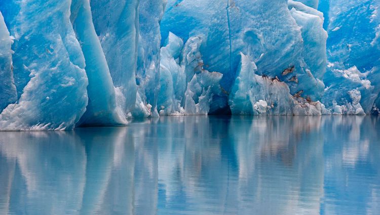 Tierra Patagonia - Grey Gletscher