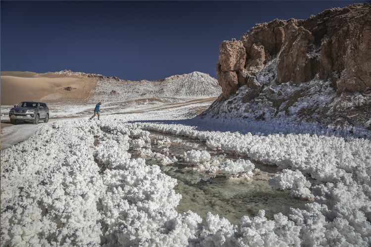 Awasi Atacama - Salzblüte