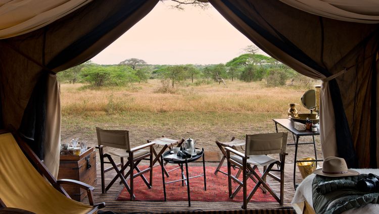 &Beyond Serengeti under Canvas - Blick aus de