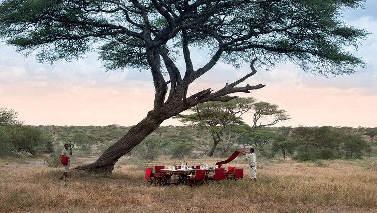 &Beyond Serengeti under Canvas -  Lunch in de