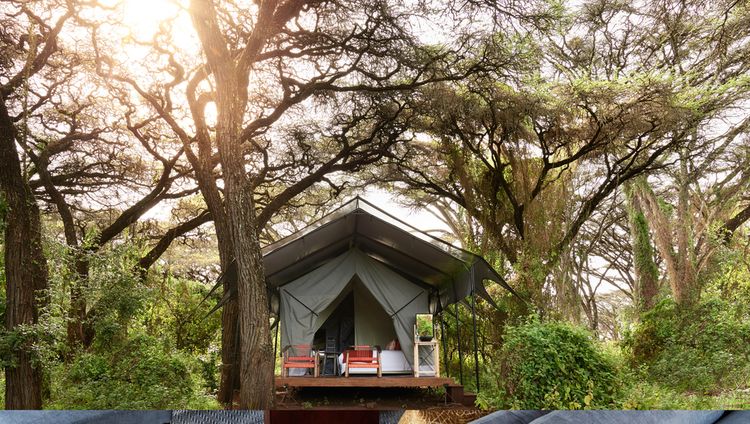 Sanctuary Ngorongoro Crater Camp