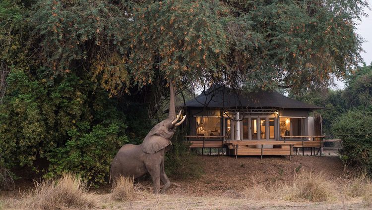 Chikwenya Safari Lodge, Mana Pools