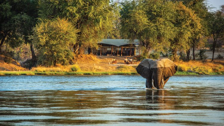 Sapi Explorers Camp - Elefant vor dem Camp