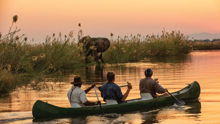 Tembo Plains Camp - Kanutour und Elefant