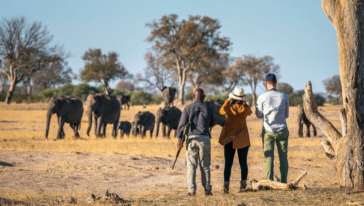 Linkwasha Safari Lodge - Auf Bushwalk