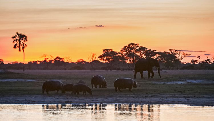 Linkwasha Safari Lodge - Sonnenuntergang