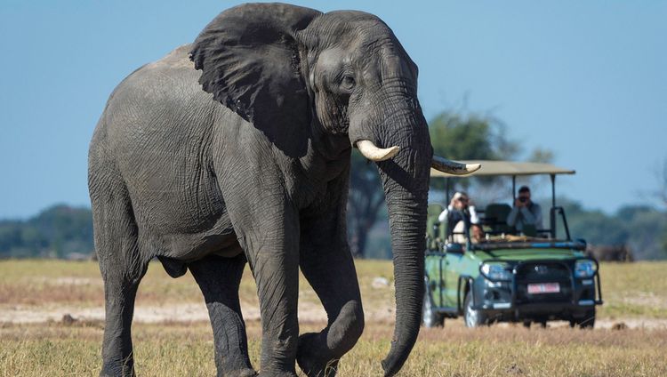 Linkwasha Safari Lodge - Pirschfahrt