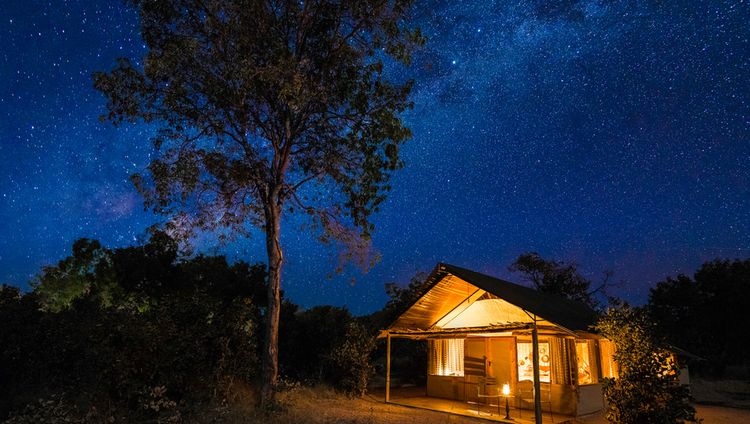 Little Makalolo Camp, Hwange