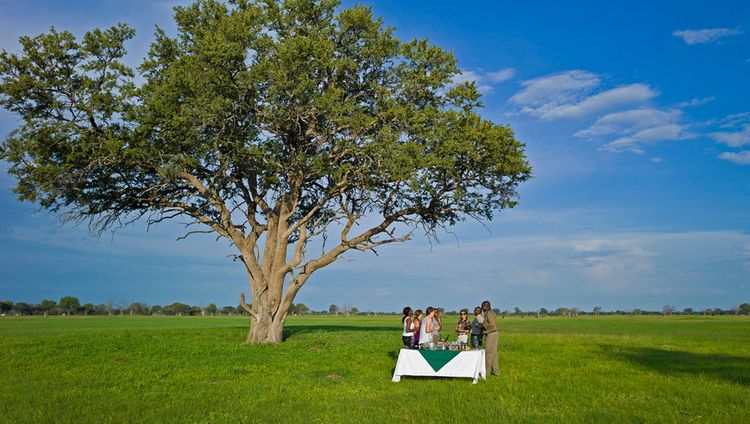 Little Makalolo Camp - Brunch im Freien