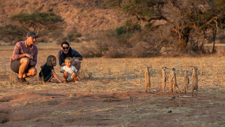 Tswalu Kalahari Reserve - Erdmä