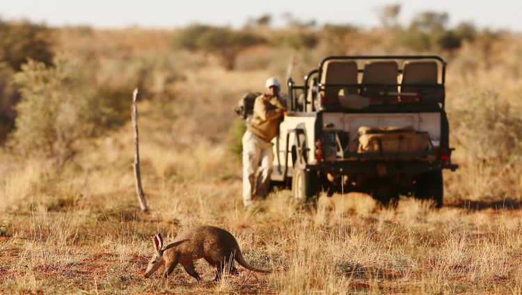 Tswalu Kalahari Reserve - 