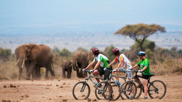 Ol Donyo Lodge - Mountain Biking und Elefante