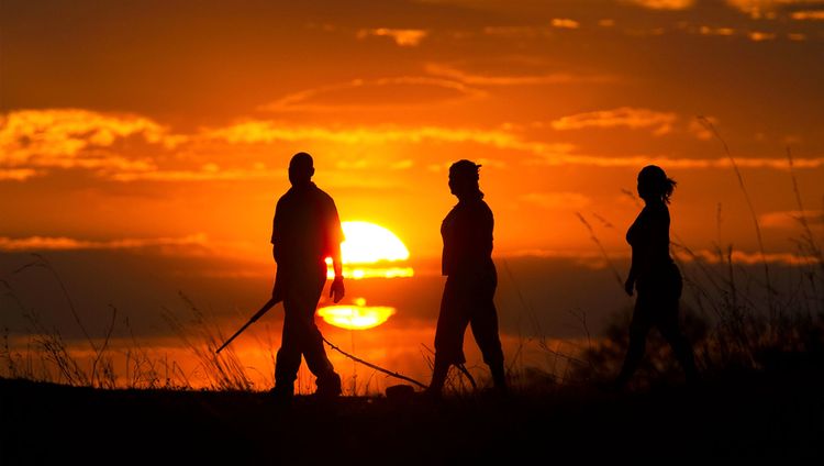 Great Plains Selinda Camp - Bushwalk