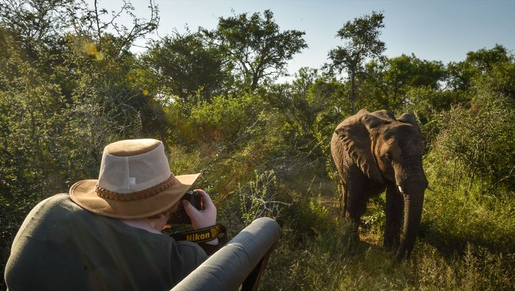 Lion Sands Narina Lodge - Pirschfahrt mit Ele