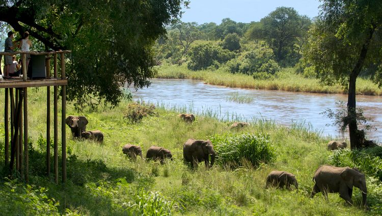 Lion Sands Narina Lodge - Elefanten am Fluss