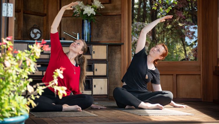 Split Apple Retreat - Yoga