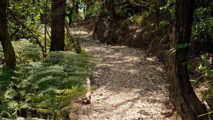 Split Apple Retreat - Wanderweg