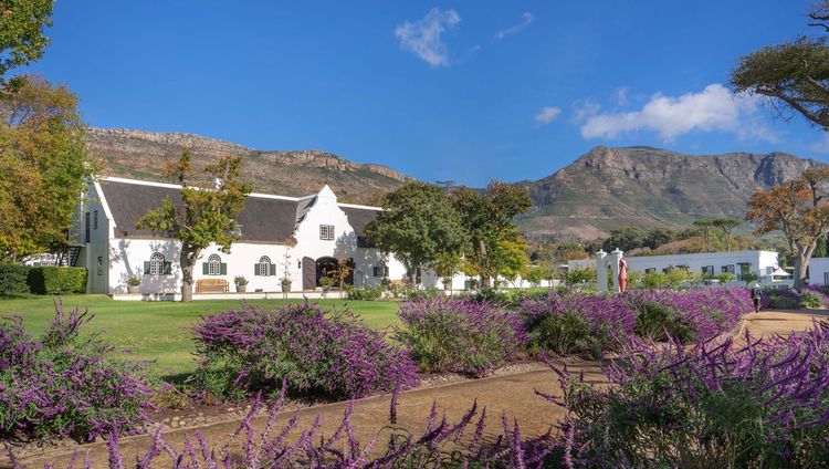 Steenberg Hotel, Kapstadt