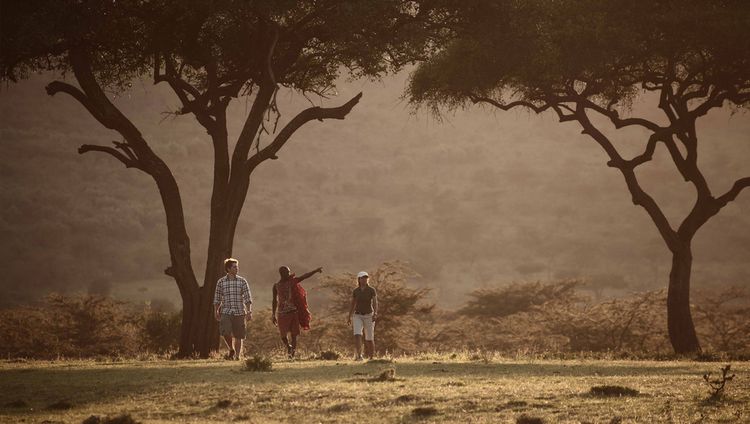 Mara Bushtops Camp - Bushwalk