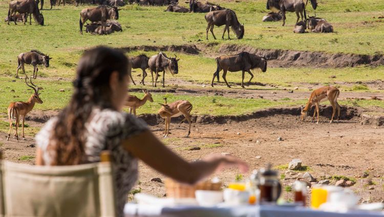 Mara Bushtops Camp - Frühstücken 