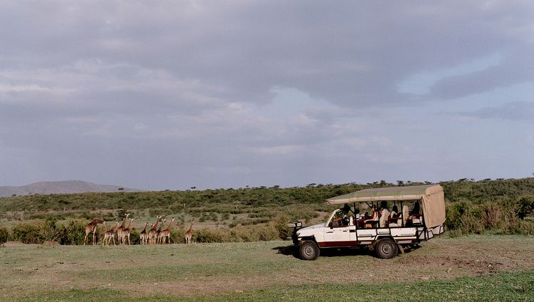 Mara Bushtops Camp - Pirschfahrt