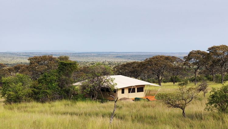 Serengeti Bush Camp - Zelt von außen
