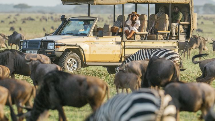 Serengeti Bush Camp - Great Migration