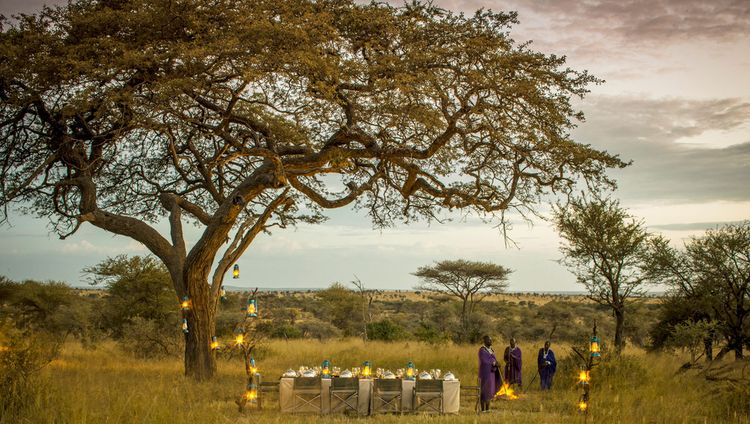 Four Seasons Safari Lodge Serengeti - Bushdin