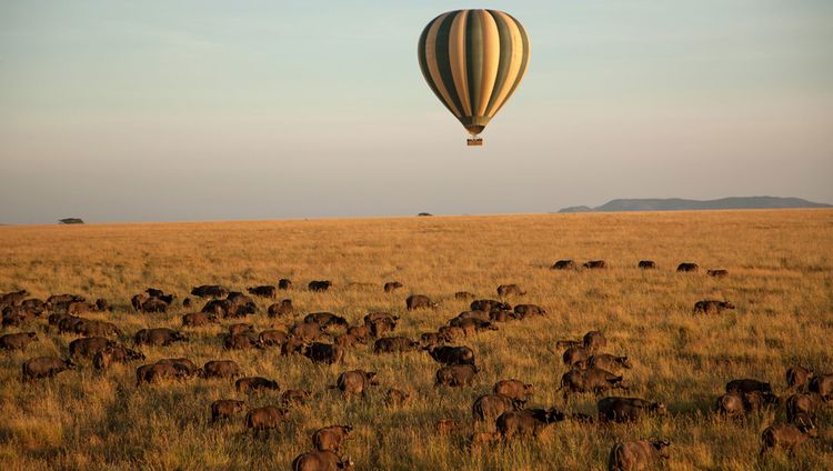 Four Seasons Safari Lodge Serengeti - Ballonf