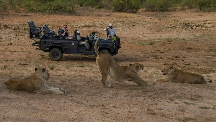 Makanyi Private Game Lodge - Pirschfahrt