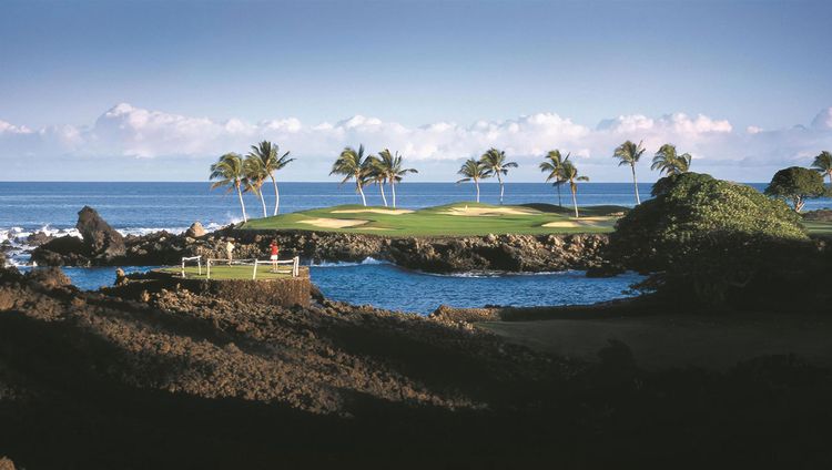 Fairmont Orchid - Golf Court