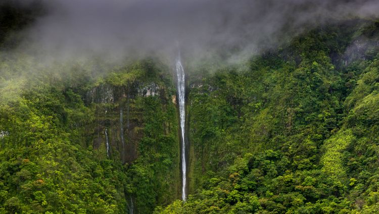 Four Seasons Resort Maui at Wailea - Wasserfa