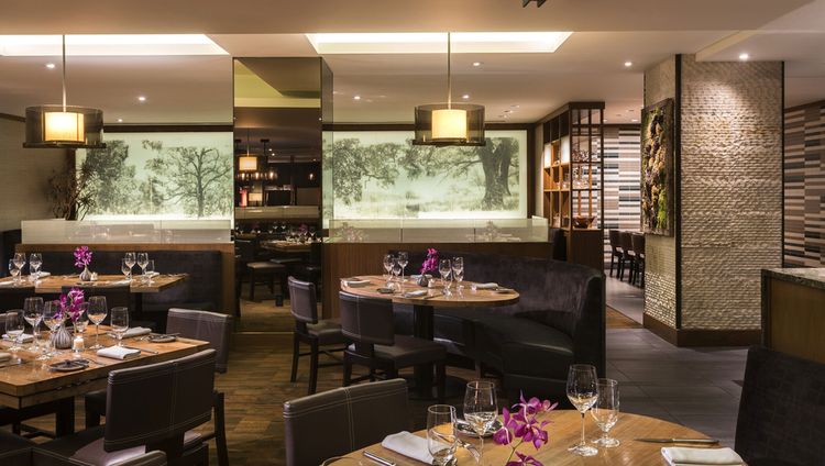 Ritz Carlton San Francisco - Paralell 37 Ritz Carlton San Francisco - Paralell 37