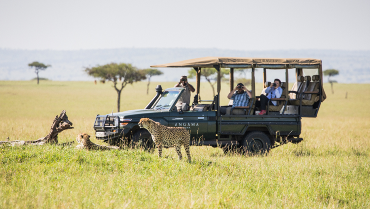 Angama Mara Lodge - Pirschfahrt