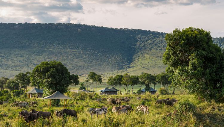 Angama Camp, Massai Mara