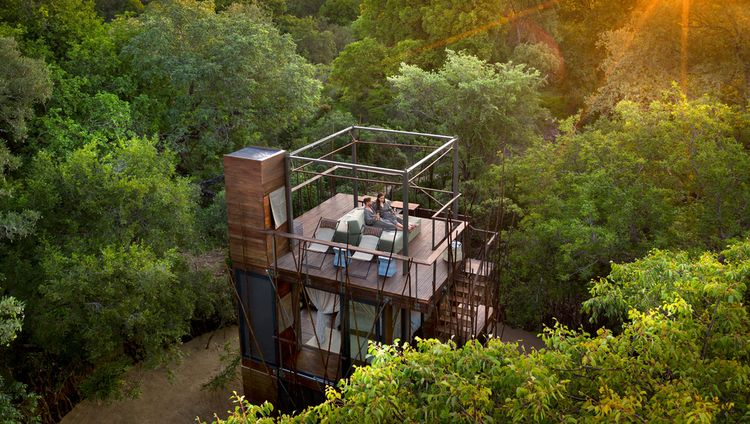 &Beyond Ngala Safari Lodge, Timbavati