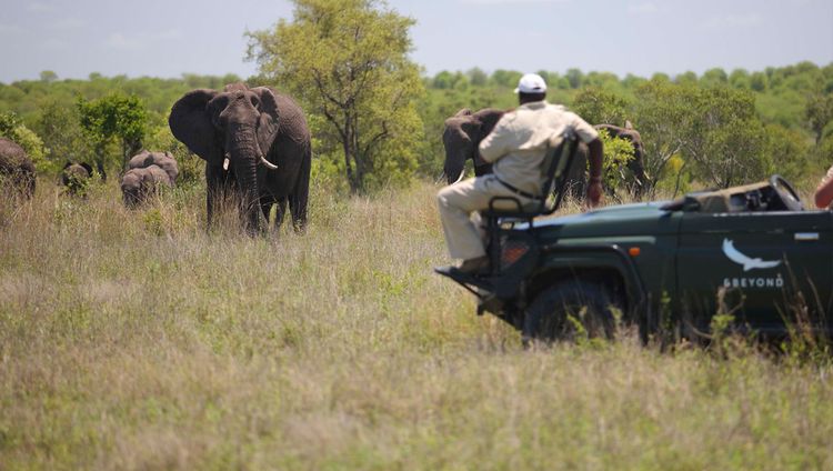 &Beyond Ngala Safari Lodge - Auf Pirschfahrt