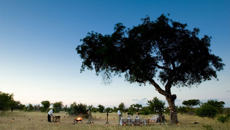 &Beyond Ngala Safari Lodge - Dinner unter Ste